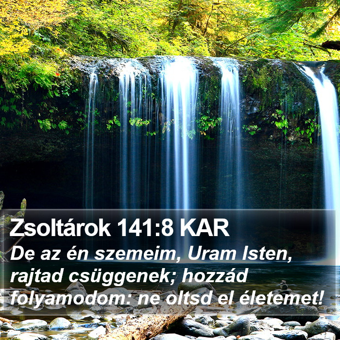 Zsoltárok 141:8 KAR Bible Study