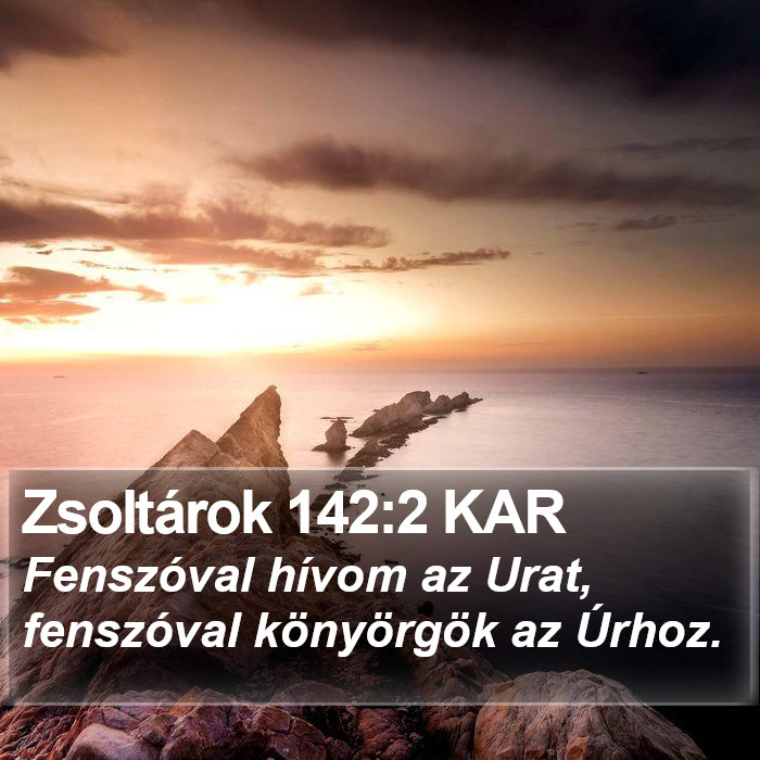Zsoltárok 142:2 KAR Bible Study