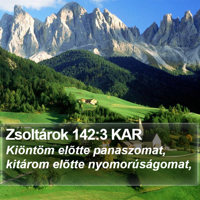 Zsoltárok 142:3 KAR Bible Study