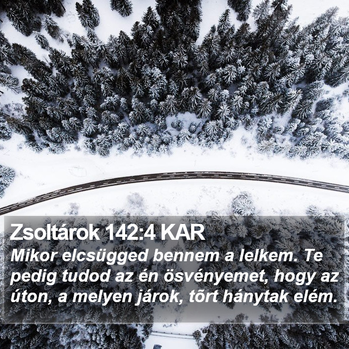 Zsoltárok 142:4 KAR Bible Study