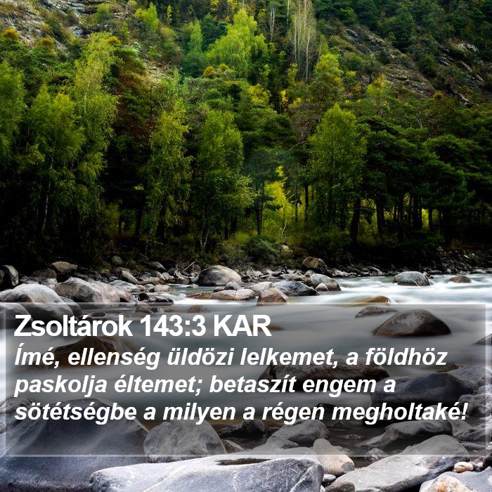 Zsoltárok 143:3 KAR Bible Study