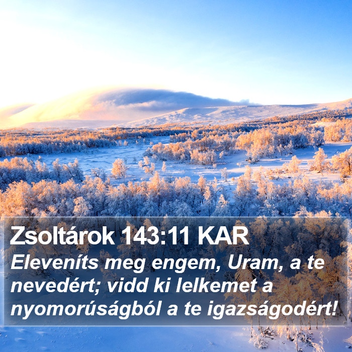 Zsoltárok 143:11 KAR Bible Study