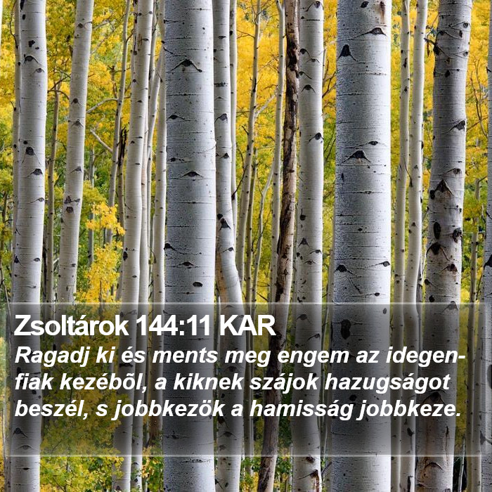 Zsoltárok 144:11 KAR Bible Study