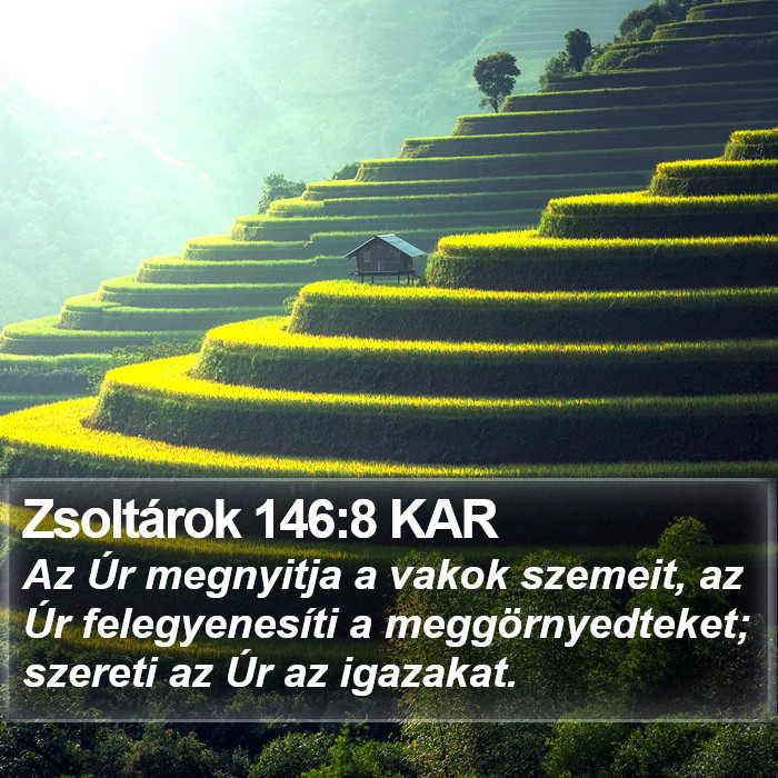 Zsoltárok 146:8 KAR Bible Study