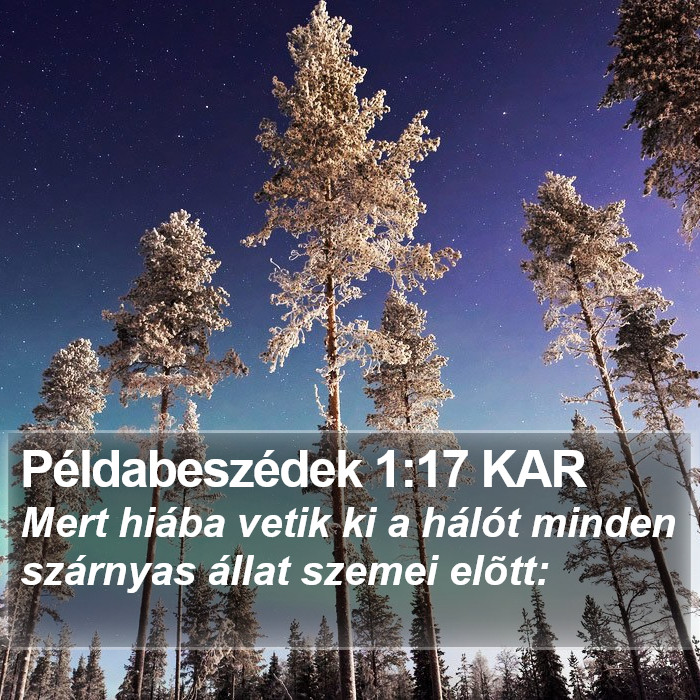 Példabeszédek 1:17 KAR Bible Study