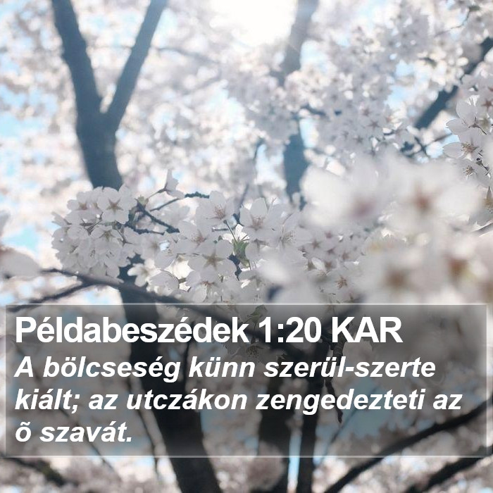 Példabeszédek 1:20 KAR Bible Study