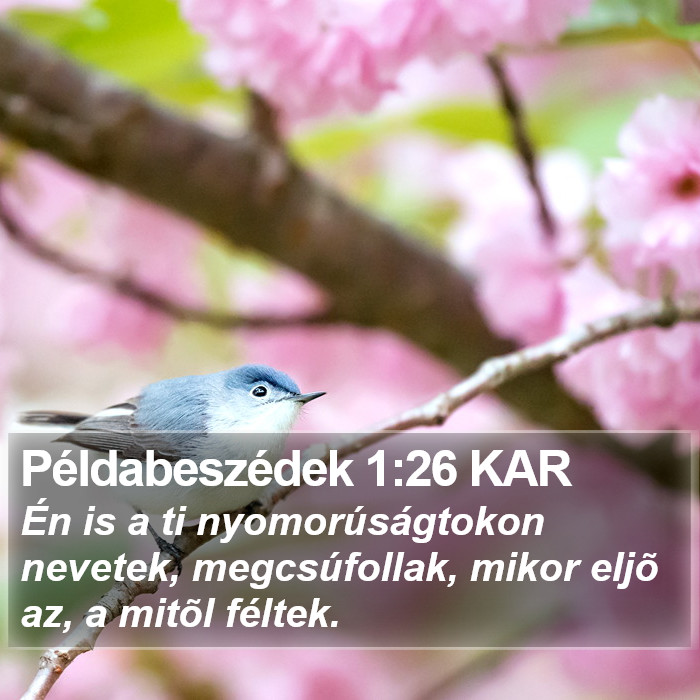 Példabeszédek 1:26 KAR Bible Study