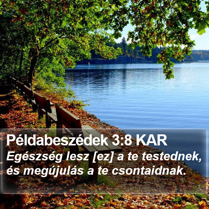 Példabeszédek 3:8 KAR Bible Study