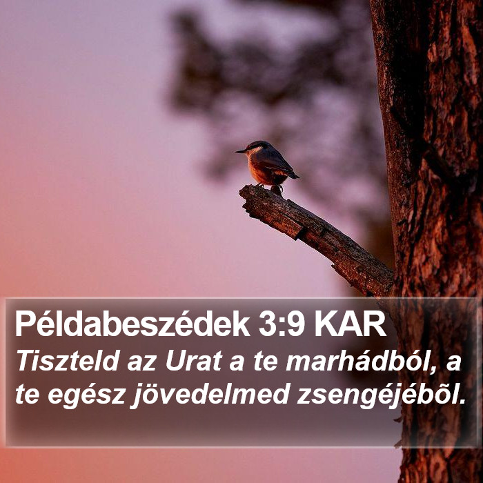 Példabeszédek 3:9 KAR Bible Study