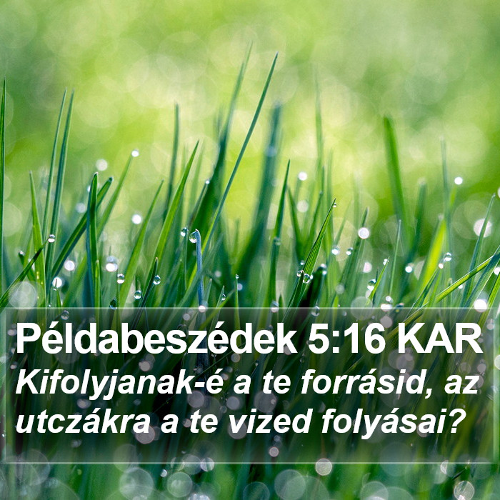 Példabeszédek 5:16 KAR Bible Study