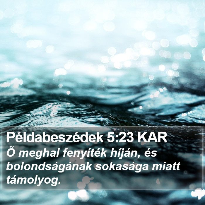 Példabeszédek 5:23 KAR Bible Study