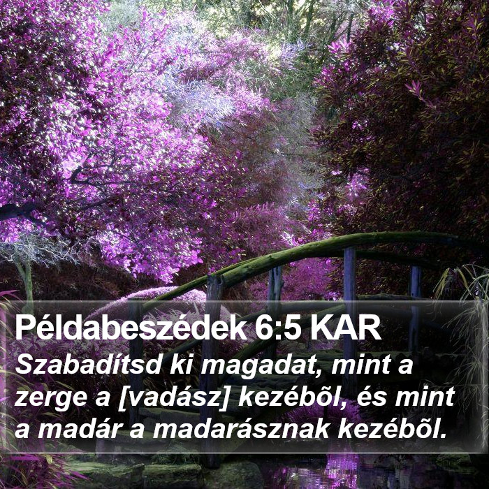 Példabeszédek 6:5 KAR Bible Study