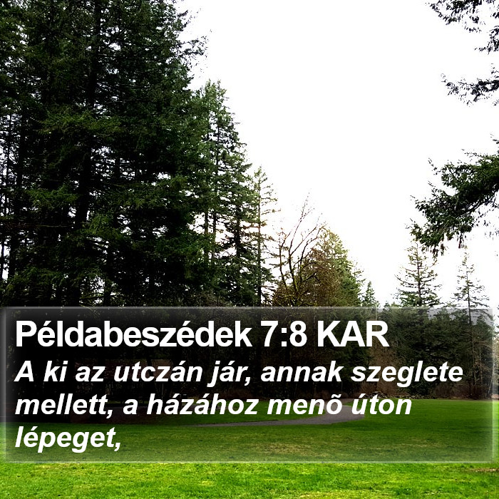 Példabeszédek 7:8 KAR Bible Study