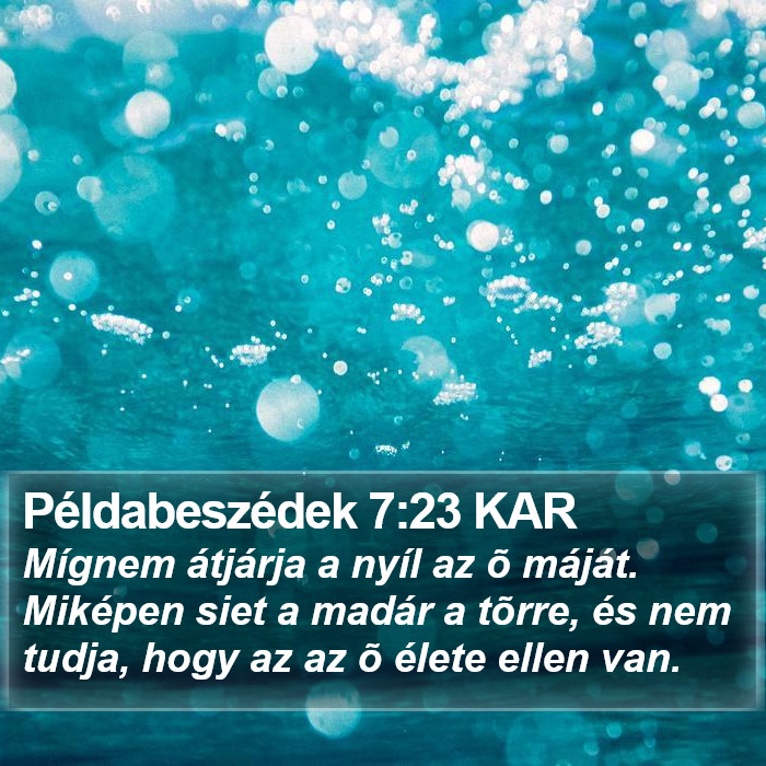 Példabeszédek 7:23 KAR Bible Study