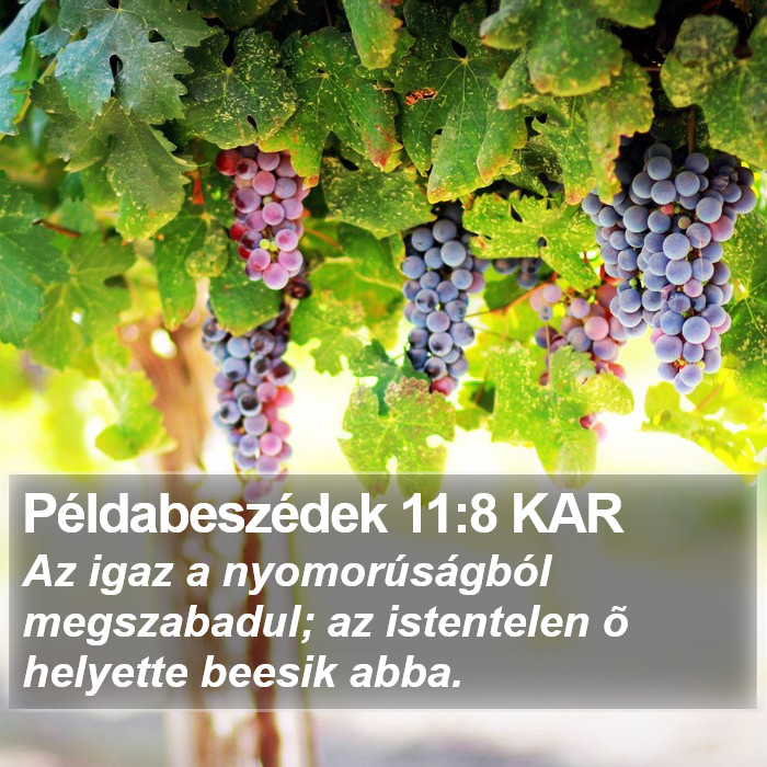 Példabeszédek 11:8 KAR Bible Study