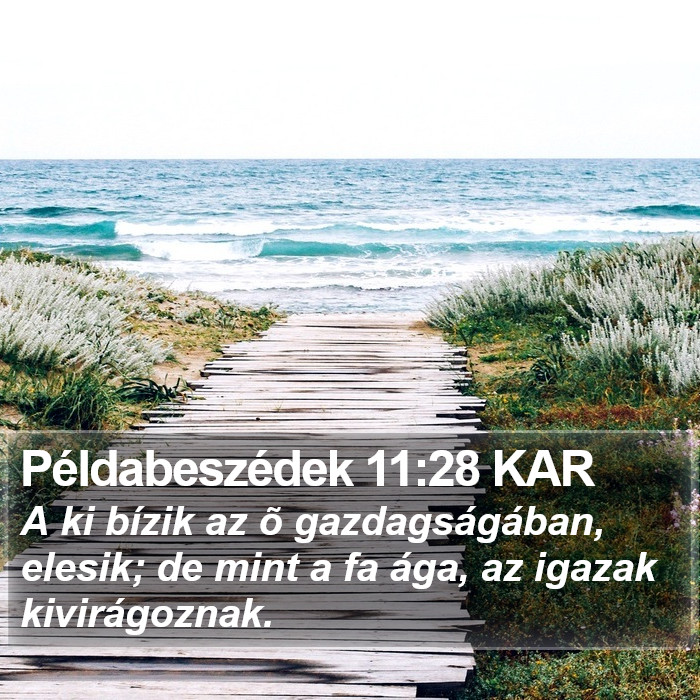 Példabeszédek 11:28 KAR Bible Study