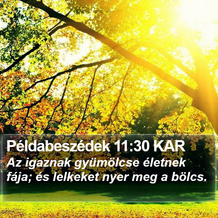 Példabeszédek 11:30 KAR Bible Study