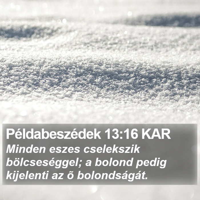 Példabeszédek 13:16 KAR Bible Study