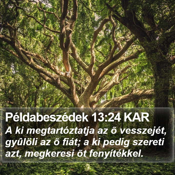 Példabeszédek 13:24 KAR Bible Study