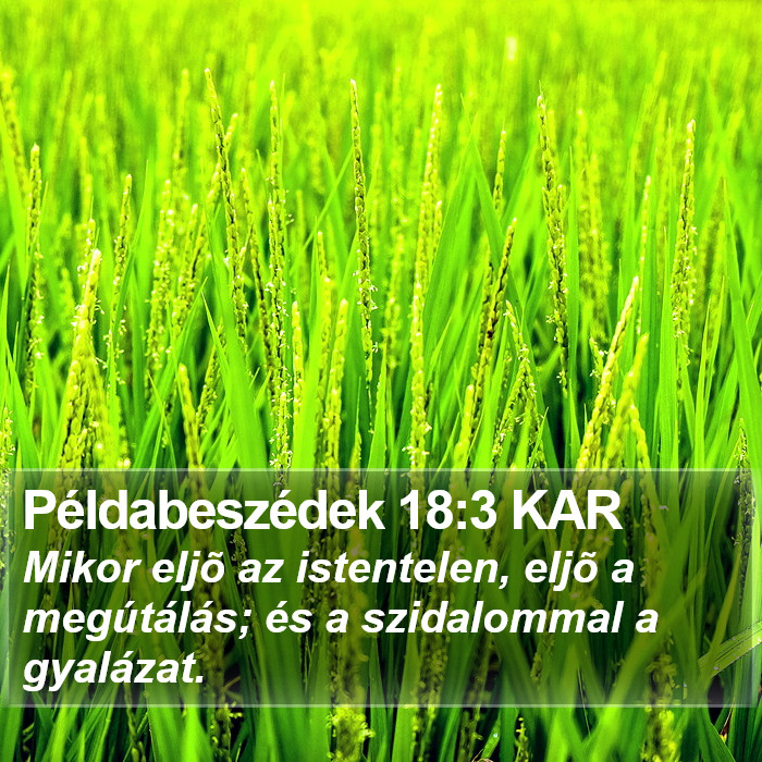 Példabeszédek 18:3 KAR Bible Study