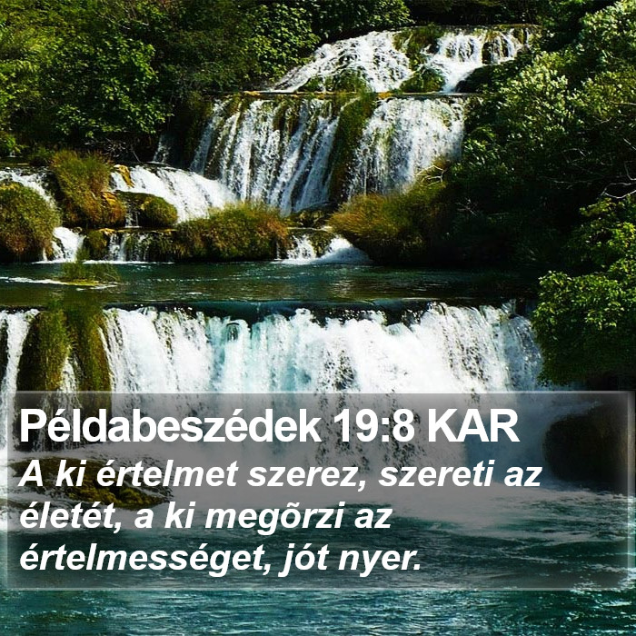 Példabeszédek 19:8 KAR Bible Study