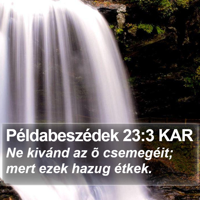 Példabeszédek 23:3 KAR Bible Study