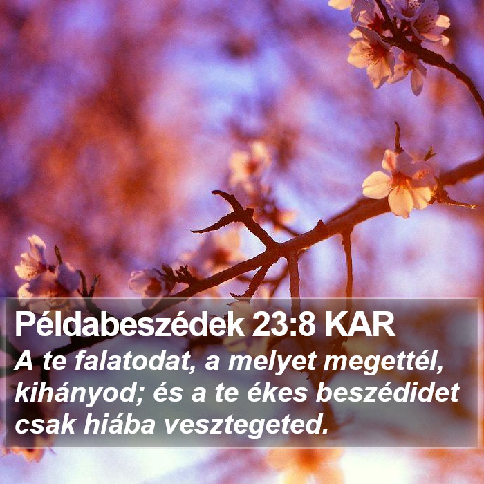 Példabeszédek 23:8 KAR Bible Study