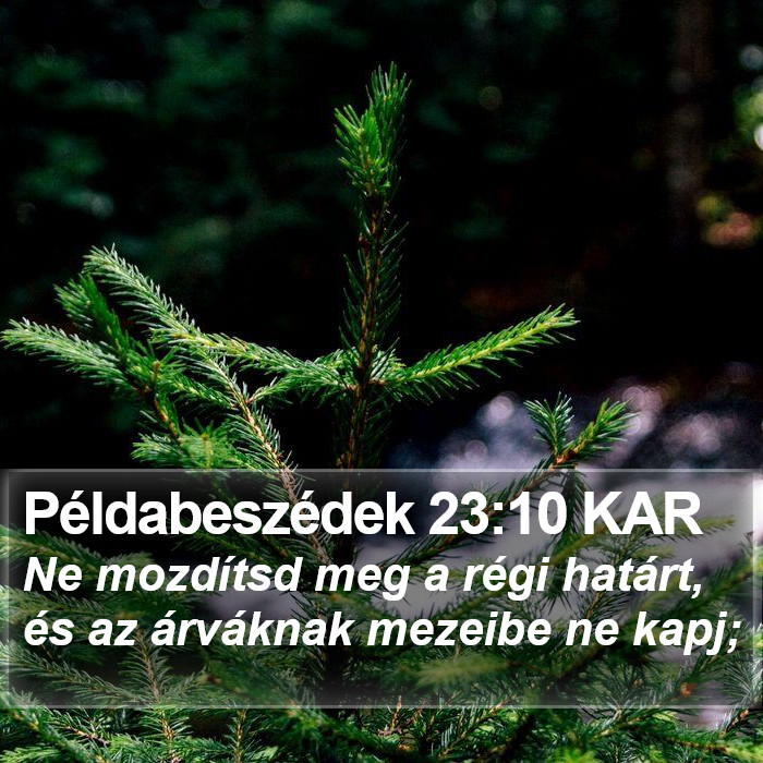 Példabeszédek 23:10 KAR Bible Study