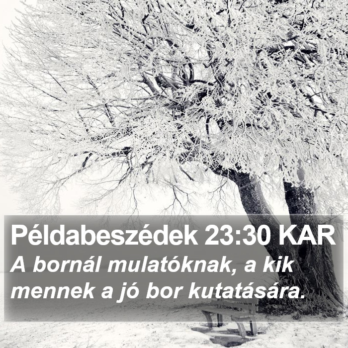 Példabeszédek 23:30 KAR Bible Study