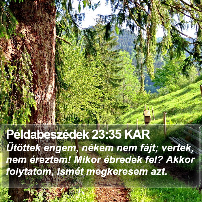 Példabeszédek 23:35 KAR Bible Study