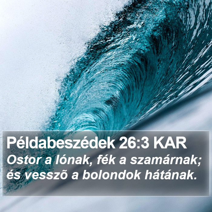 Példabeszédek 26:3 KAR Bible Study