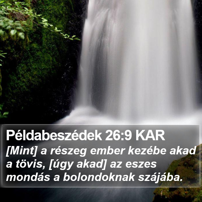 Példabeszédek 26:9 KAR Bible Study