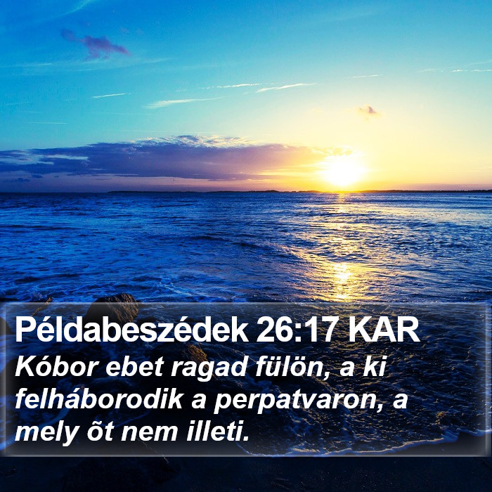 Példabeszédek 26:17 KAR Bible Study