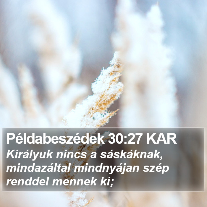 Példabeszédek 30:27 KAR Bible Study