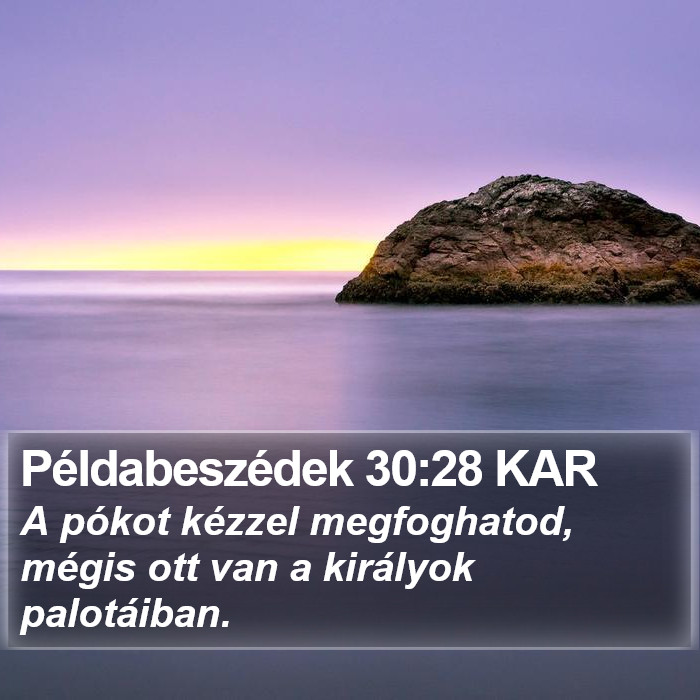 Példabeszédek 30:28 KAR Bible Study