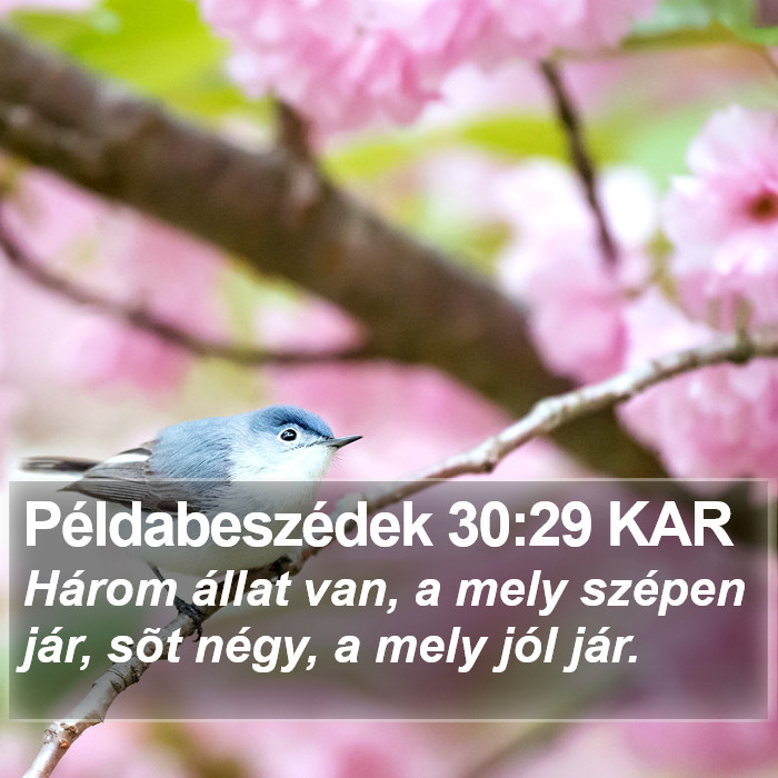 Példabeszédek 30:29 KAR Bible Study