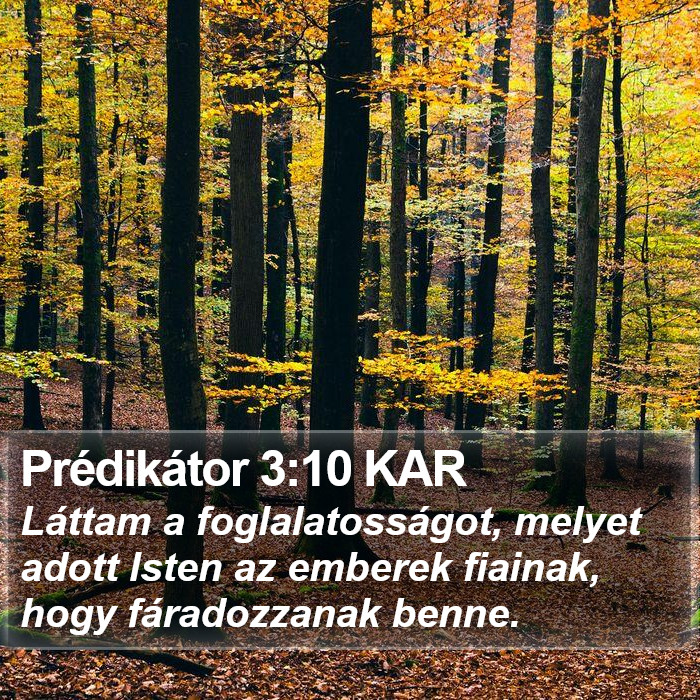 Prédikátor 3:10 KAR Bible Study