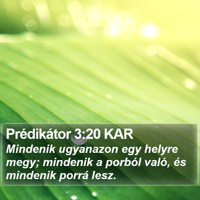 Prédikátor 3:20 KAR Bible Study