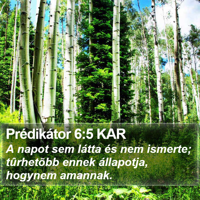 Prédikátor 6:5 KAR Bible Study