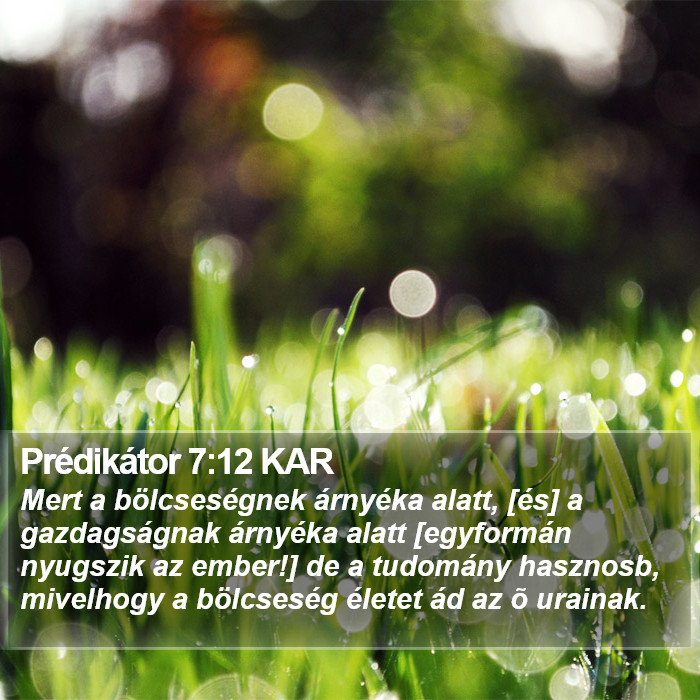 Prédikátor 7:12 KAR Bible Study