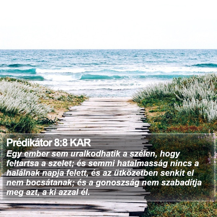 Prédikátor 8:8 KAR Bible Study