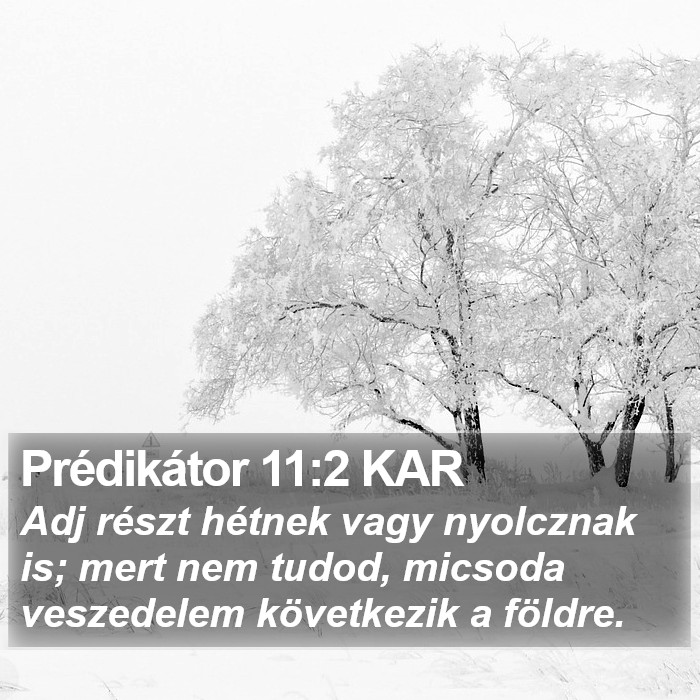 Prédikátor 11:2 KAR Bible Study