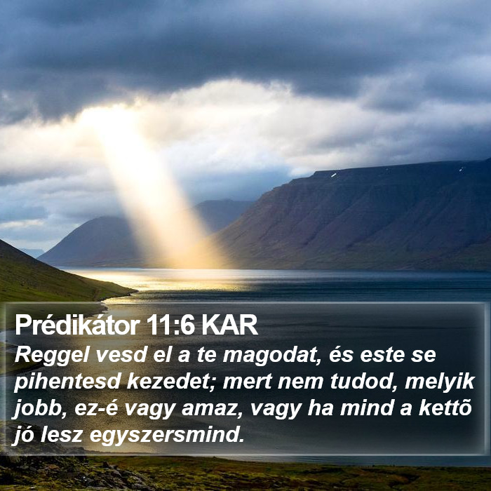 Prédikátor 11:6 KAR Bible Study