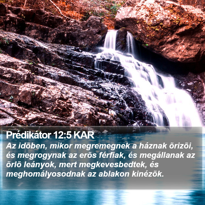 Prédikátor 12:5 KAR Bible Study