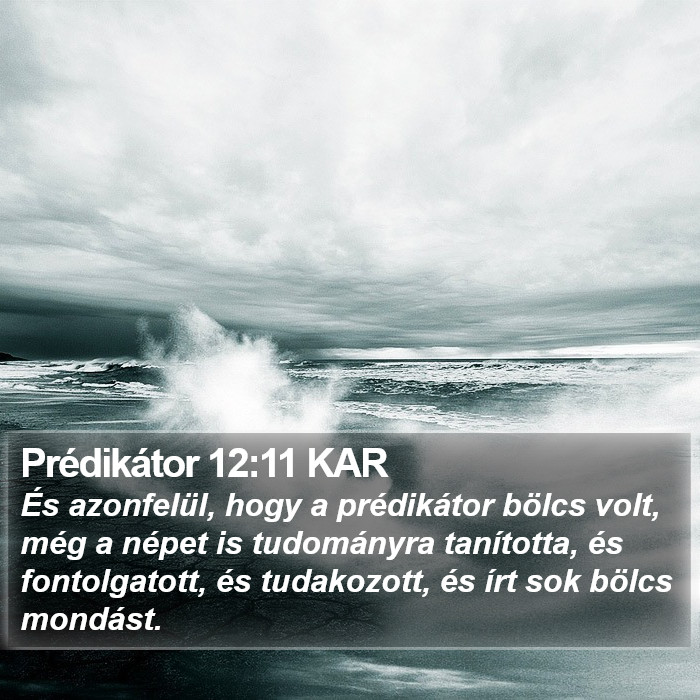 Prédikátor 12:11 KAR Bible Study