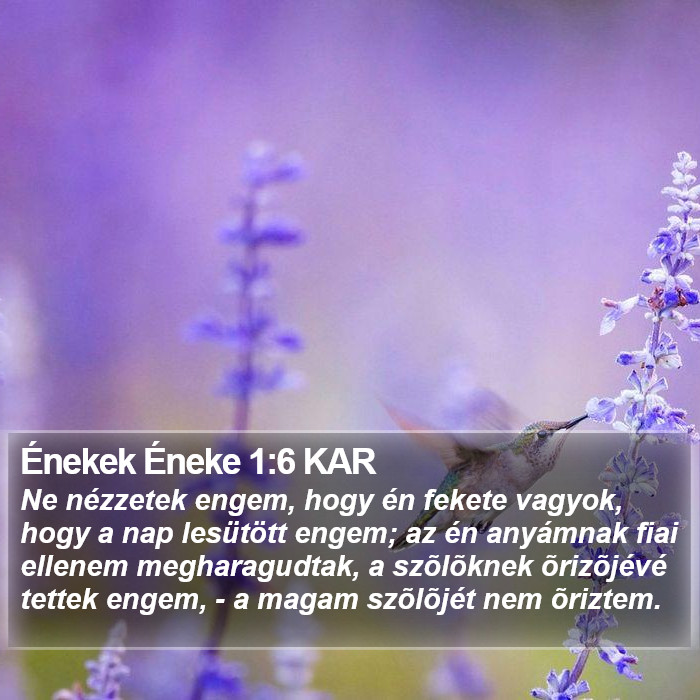 Énekek Éneke 1:6 KAR Bible Study