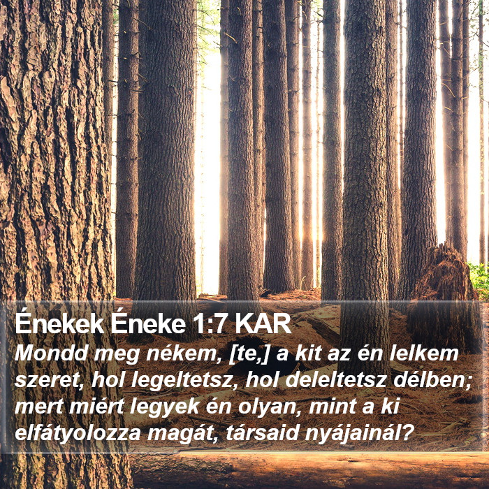 Énekek Éneke 1:7 KAR Bible Study