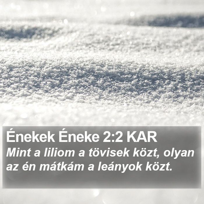 Énekek Éneke 2:2 KAR Bible Study