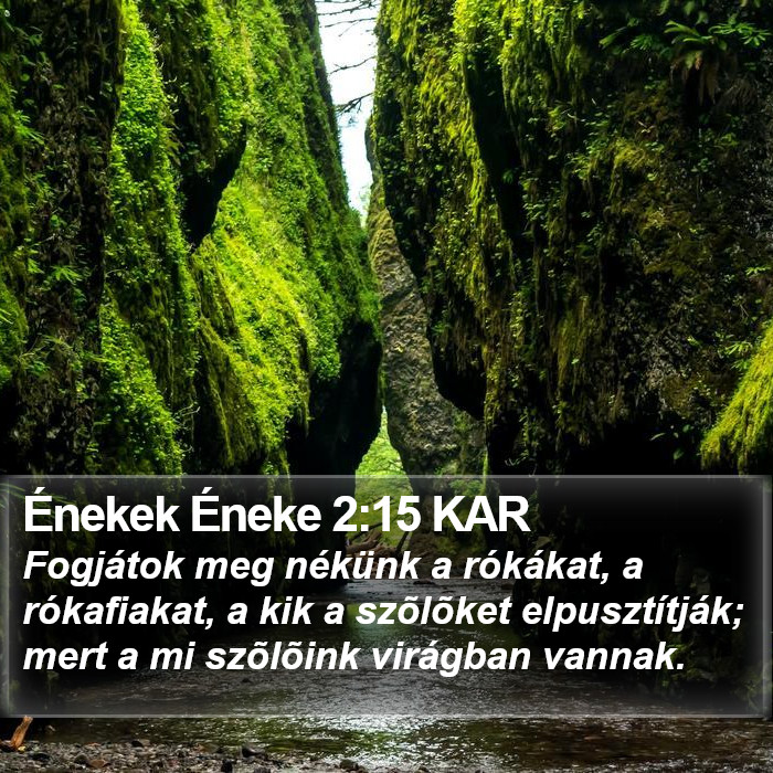 Énekek Éneke 2:15 KAR Bible Study