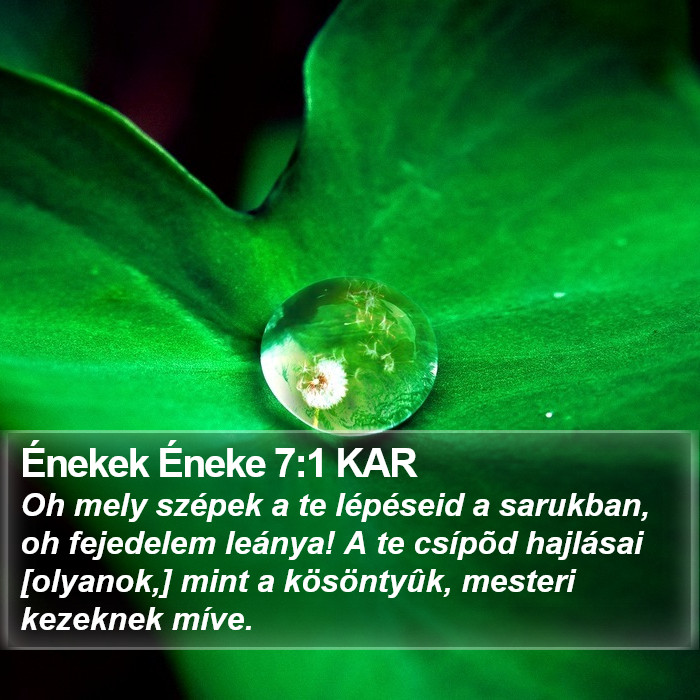 Énekek Éneke 7:1 KAR Bible Study